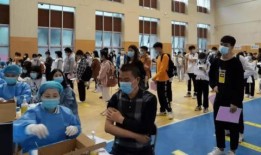 容县楼盘爆料最新消息,最新楼盘爆料，揭秘热门项目详情