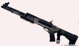 和平精英新枪械爆料最新,神秘性能引发玩家热议