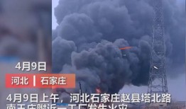 东营媒体爆料事件视频最新,真相背后引热议