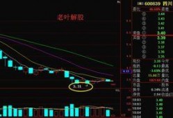 四川爆料最新消息视频播放,视频揭露惊人真相，网友热议不断！