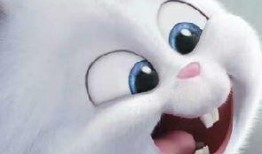 龙宝宝最新爆料视频,揭秘幕后真相，带你走进神秘世界